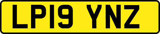 LP19YNZ