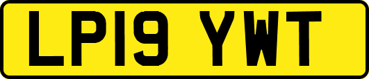 LP19YWT