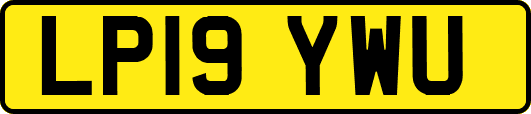 LP19YWU