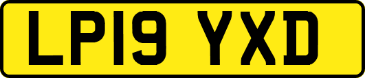 LP19YXD