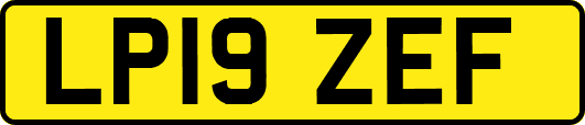 LP19ZEF