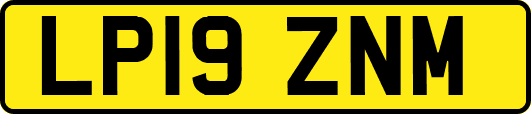 LP19ZNM