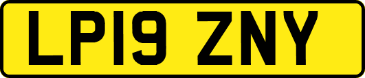 LP19ZNY
