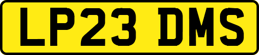 LP23DMS