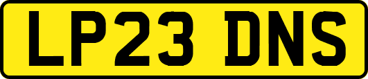 LP23DNS