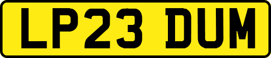 LP23DUM
