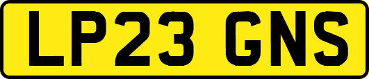 LP23GNS