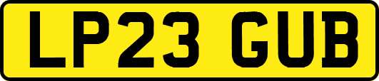 LP23GUB