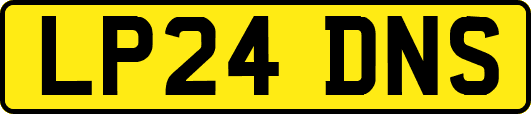 LP24DNS