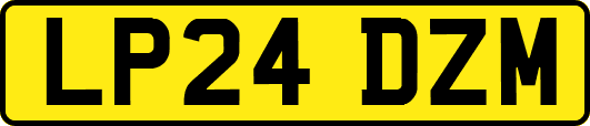 LP24DZM