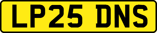 LP25DNS