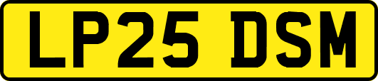 LP25DSM
