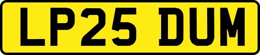 LP25DUM