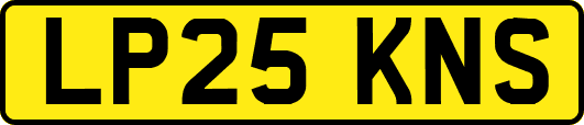 LP25KNS