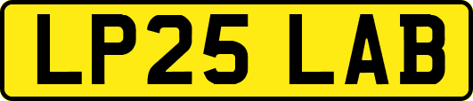 LP25LAB
