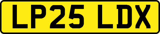 LP25LDX