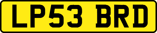 LP53BRD