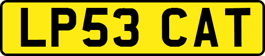 LP53CAT