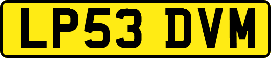 LP53DVM