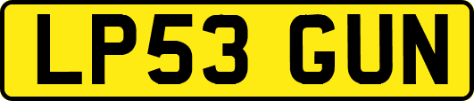 LP53GUN