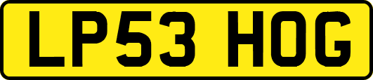 LP53HOG