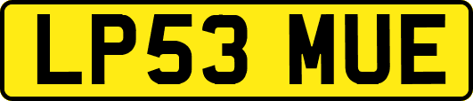 LP53MUE