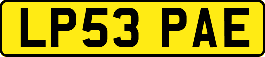 LP53PAE