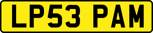 LP53PAM