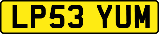 LP53YUM