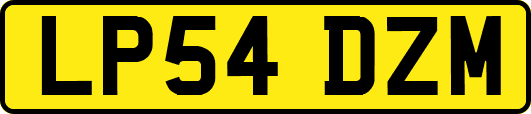 LP54DZM