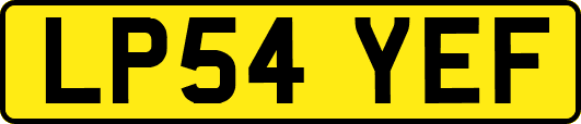 LP54YEF