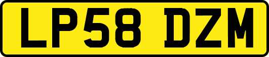 LP58DZM