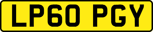 LP60PGY
