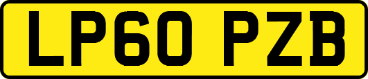 LP60PZB