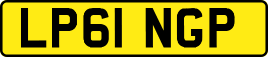LP61NGP