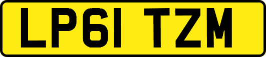 LP61TZM