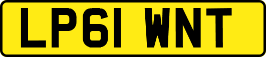 LP61WNT