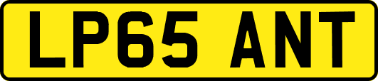 LP65ANT