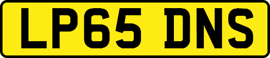 LP65DNS
