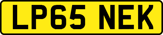 LP65NEK