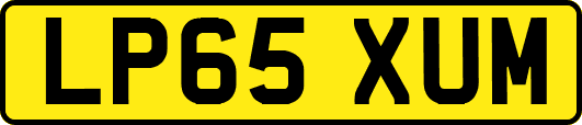 LP65XUM