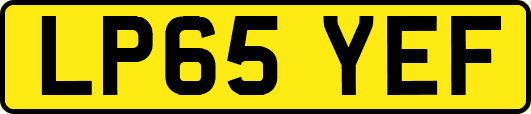 LP65YEF