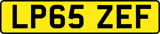 LP65ZEF