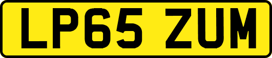 LP65ZUM