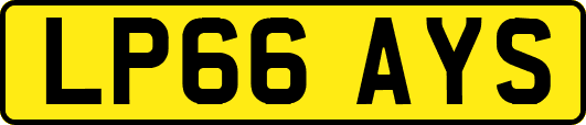 LP66AYS