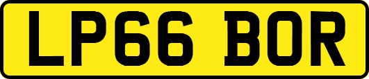 LP66BOR