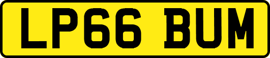 LP66BUM
