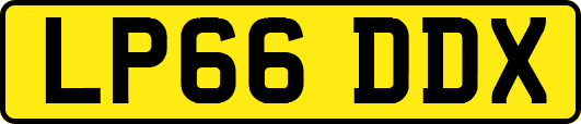 LP66DDX