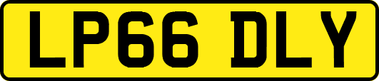 LP66DLY