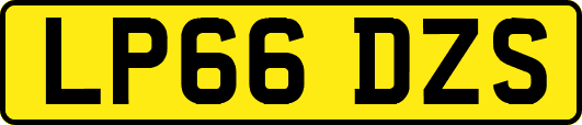 LP66DZS